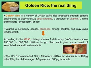 Golden Rice Bioengineering Transgenic plant with improved nutritional quality | PPTX