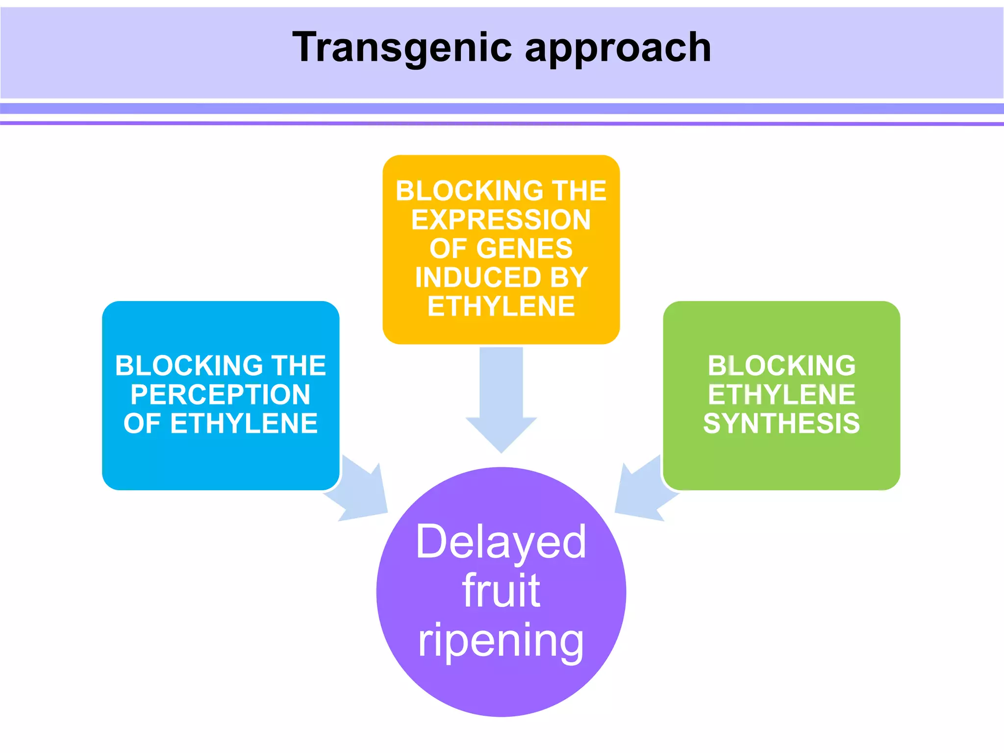 Transgenics for delayed fruit ripening | PPT