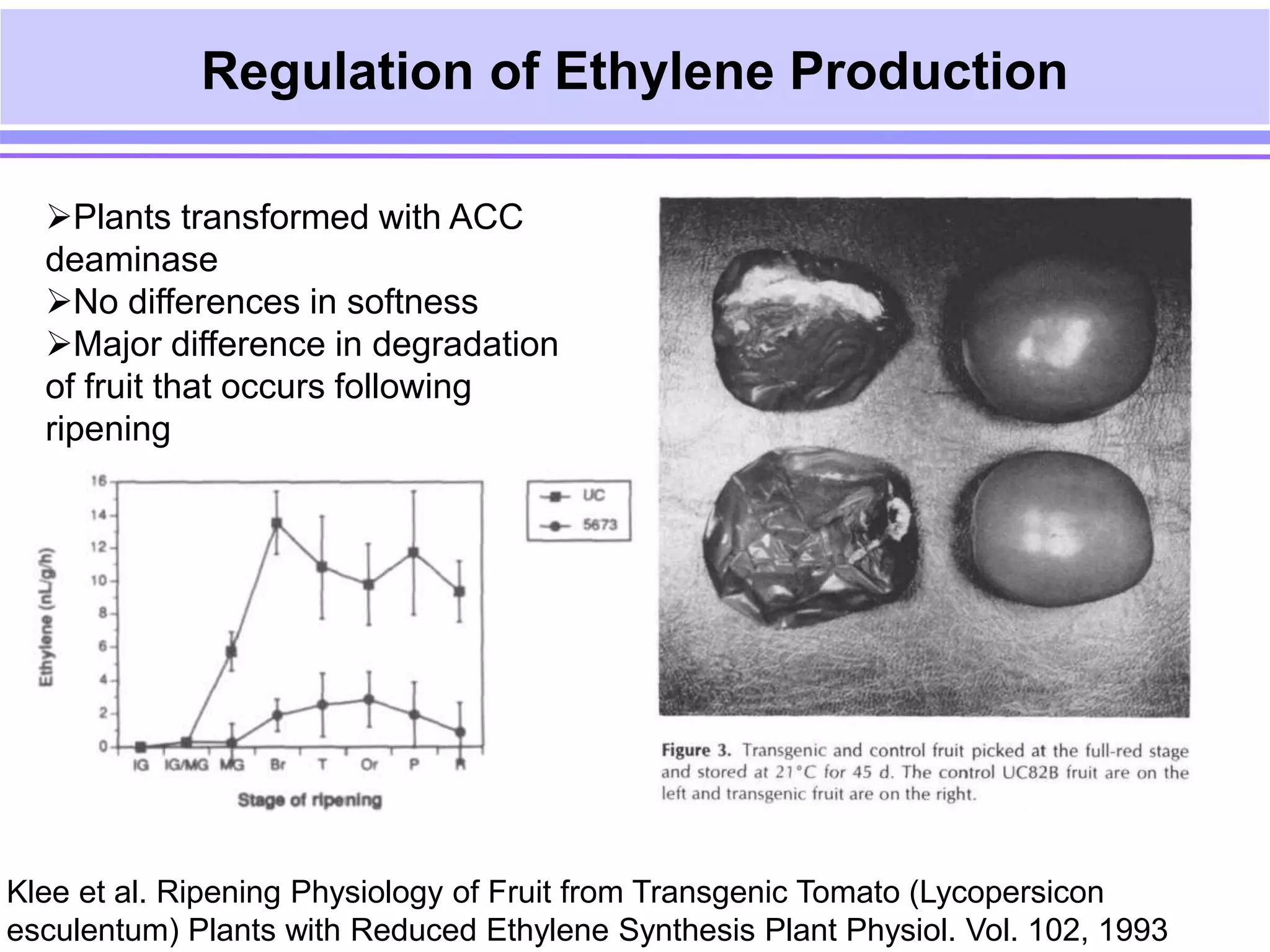 Transgenics for delayed fruit ripening | PPT