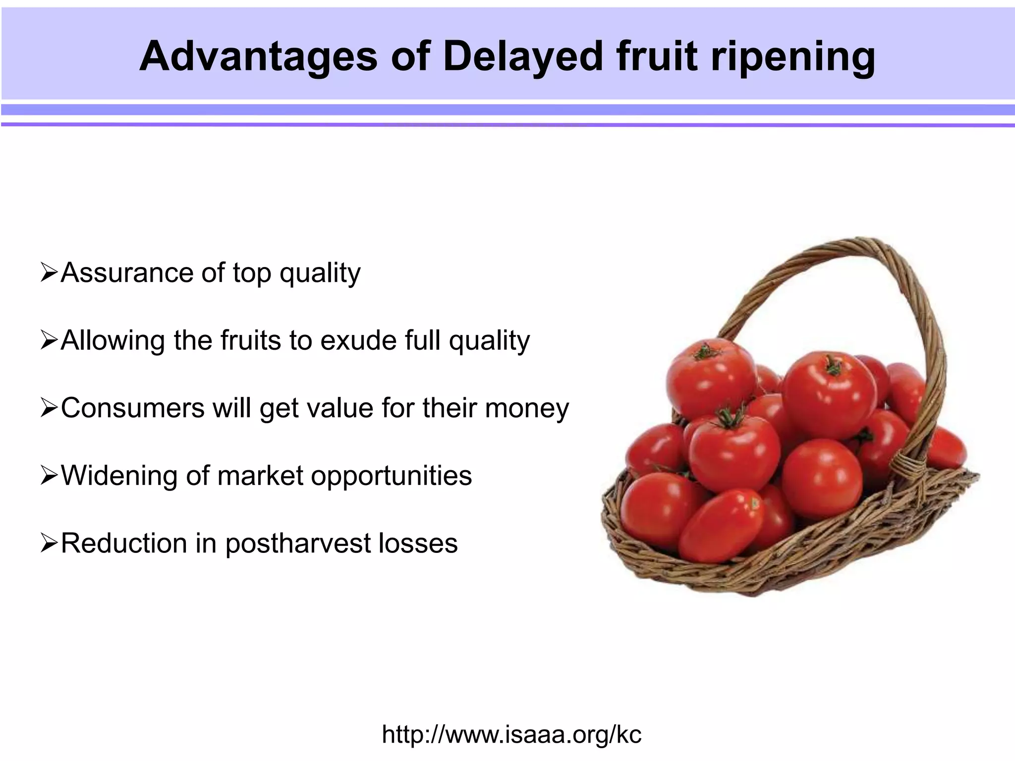 Transgenics for delayed fruit ripening | PPT