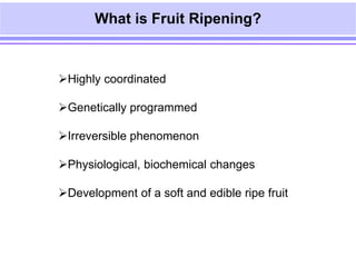 Transgenics for delayed fruit ripening | PPT
