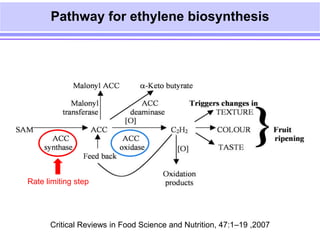 Transgenics for delayed fruit ripening | PPT