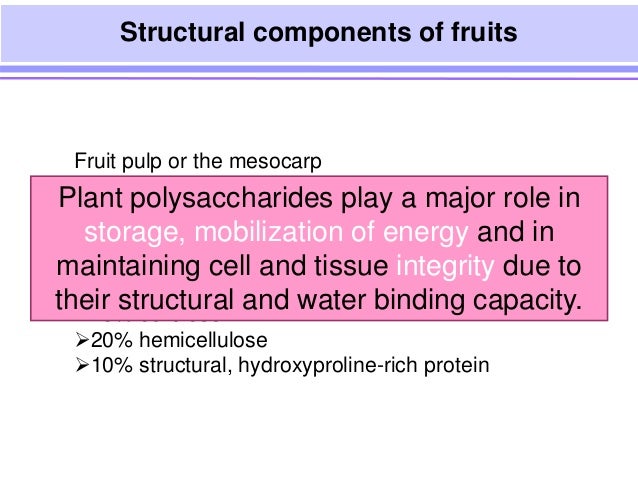 role of pectic enzymes in fruit ripening process N-glycans are reported to play an important role during fruit ripening, although the role of any particular enzyme is yet unknown we have identified and targeted two ripening-specific n -glycoprotein modifying enzymes, α-mannosidase (α-man) and β-d- n -acetylhexosaminidase (β-hex. role of pectic enzymes in fruit ripening process N-glycans are reported to play an important role during fruit ripening, although the role of any particular enzyme is yet unknown we have identified and targeted two ripening-specific n -glycoprotein modifying enzymes, α-mannosidase (α-man) and β-d- n -acetylhexosaminidase (β-hex.
