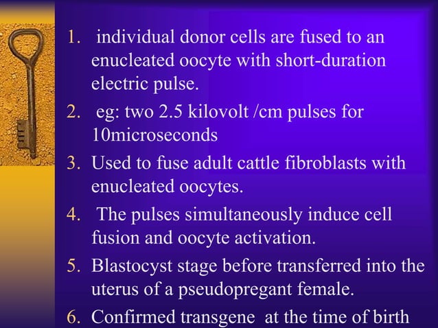 transgenic-sheep-ppt-for-staff-students
