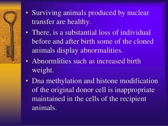 Transgenic Sheep Ppt For Staff Students