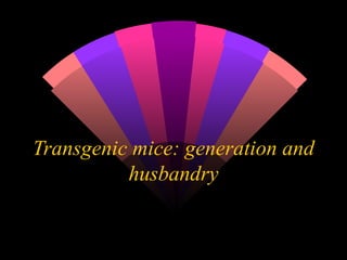 Transgenic mice: generation and husbandry 