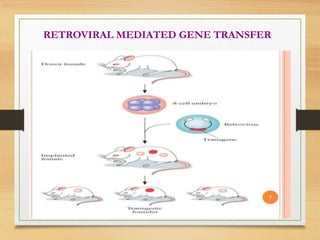 RETROVIRAL MEDIATED GENE TRANSFER
 