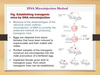 DNA Microinjection Method
 