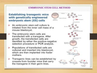EMBRYONIC STEM CELL METHOD
 