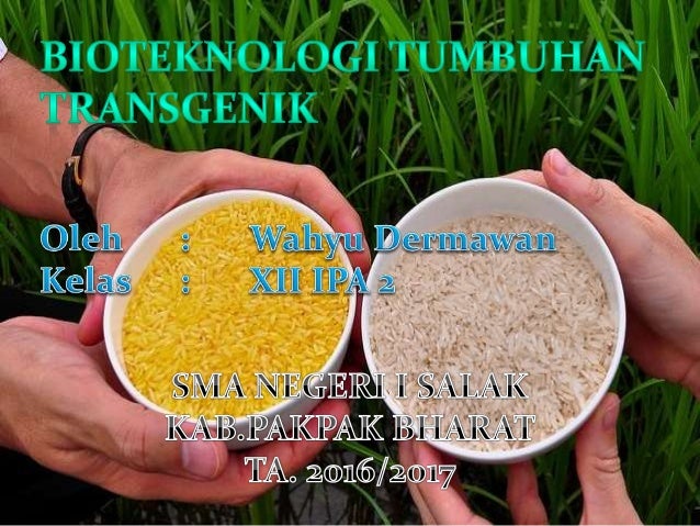 Transgenik Ppt
