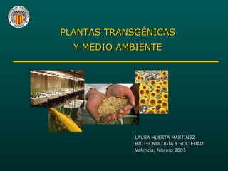PLANTAS TRANSGÉNICAS  Y MEDIO AMBIENTE  LAURA HUERTA MARTÍNEZ BIOTECNOLOGÍA Y SOCIEDAD Valencia, febrero 2003 
