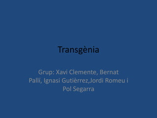 Transgènia
Grup: Xavi Clemente, Bernat
Pallí, Ignasi Gutièrrez,Jordi Romeu i
Pol Segarra
 