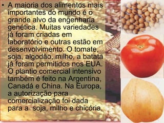 A maioria dos alimentos mais importantes do mundo é o grande alvo da engenharia genética. Muitas variedades já foram criadas em laboratório e outras estão em desenvolvimento. O tomate, soja, algodão, milho, a batata já foram permitidos nos EUA. O plantio comercial intensivo também é feito na Argentina, Canadá e China. Na Europa, a autorização para comercialização foi dada para a  soja, milho e chicória. 