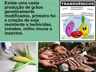 Existe uma vasta produção de grãos geneticamente modificados, primeiro foi a criação de soja resistente a herbicidas, tomates, milho imune a insectos.  