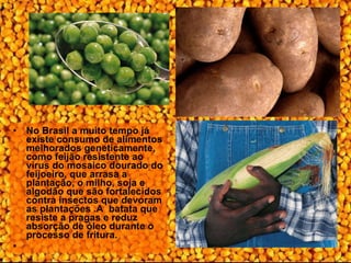 No Brasil a muito tempo já existe consumo de alimentos melhorados geneticamente, como feijão resistente ao vírus do mosaico dourado do feijoeiro, que arrasa a plantação, o milho, soja e algodão que são fortalecidos contra insectos que devoram as plantações .A  batata que resiste a pragas e reduz absorção de óleo durante o processo de fritura.   