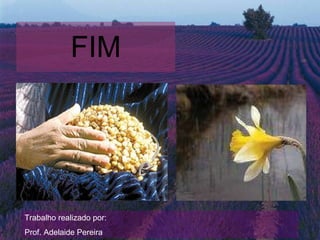 FIM Trabalho realizado por: Prof. Adelaide Pereira 