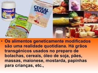 Os alimentos geneticamente modificados são uma realidade quotidiana. Há grãos transgénicos usados no preparo de bolachas, cereais, óleo de soja, pães, massas, maionese, mostarda, papinhas para crianças, etc.,  
