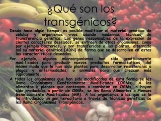¿Qué son los transgénicos?Desde hace algún tiempo, es posible modificar el material genético de células y organismos vivos usando modernas técnicas de transferencia genética. Los genes responsables de la expresión de ciertos caracteres deseados, se extraen de otros organismos, como por ejemplo bacterias, y son transferidos a las plantas, alternado así su material genético (ADN) de forma que se desarrollen en estas las características deseadas.Por ejemplo, algunos microorganismos han sido genéticamente modificados para producir nuevos productos farmacéuticos, del mismo modo que lo han sido plantas para desarrollar resistencias a plagas y enfermedades, o animales para que crezcan más rápidamente. A todos los organismos que han sido modificados de esta forma se les llama Organismos Genéticamente Modificados (OGMs). A los alimentos o piensos que contengan o consistan en OGMs, o hayan sido producidos a partir de OGMs, se les llama Alimentos o Piensos Genéticamente Modificados (GM). A los organismos a los que se le ha introducido un gen hereditario a través de técnicas genéticas se les llama Organismos Transgénicos. 