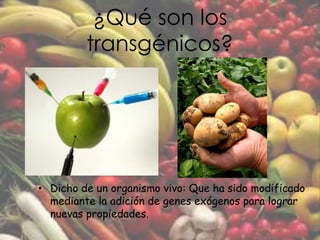 ¿Qué son los transgénicos?Dicho de un organismo vivo: Que ha sido modificado mediante la adición de genes exógenos para lograr nuevas propiedades.