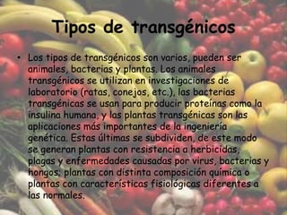 Tipos de transgénicosLos tipos de transgénicos son varios, pueden ser animales, bacterias y plantas. Los animales transgénicos se utilizan en investigaciones de laboratorio (ratas, conejos, etc.), las bacterias transgénicas se usan para producir proteínas como la insulina humana, y las plantas transgénicas son las aplicaciones más importantes de la ingeniería genética. Estas últimas se subdividen, de este modo se generan plantas con resistencia a herbicidas, plagas y enfermedades causadas por virus, bacterias y hongos; plantas con distinta composición química o plantas con características fisiológicas diferentes a las normales.