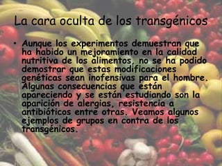 La cara oculta de los transgénicosAunque los experimentos demuestran que ha habido un mejoramiento en la calidad nutritiva de los alimentos, no se ha podido demostrar que estas modificaciones genéticas sean inofensivas para el hombre. Algunas consecuencias que están apareciendo y se están estudiando son la aparición de alergias, resistencia a antibióticos entre otras. Veamos algunos ejemplos de grupos en contra de los transgénicos.