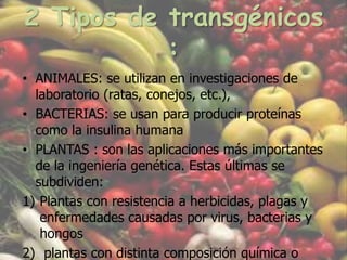 2 Tipos de transgénicos :ANIMALES: se utilizan en investigaciones de laboratorio (ratas, conejos, etc.),BACTERIAS: se usan para producir proteínas como la insulina humanaPLANTAS : son las aplicaciones más importantes de la ingeniería genética. Estas últimas se subdividen:Plantas con resistencia a herbicidas, plagas y enfermedades causadas por virus, bacterias y hongos plantas con distinta composición química o plantas con características fisiológicas diferentes a las normales.