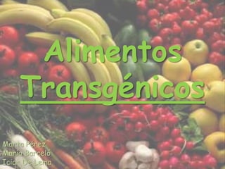 Alimentos Transgénicos Marta Pérez María Barceló  Iciar De Lema 