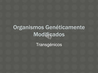 Organismos Genéticamente
       Modificados
       Transgénicos
 