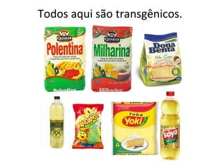 Todos aqui são transgênicos.
 
