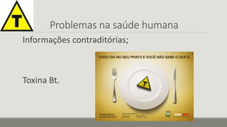 Problemas na saúde humana 
Informações contraditórias; 
Toxina Bt. 
 