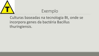 Exemplo 
Culturas baseadas na tecnologia Bt, onde se 
incorpora genes da bactéria Bacillus 
thuringiensis. 
 