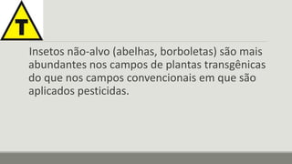 Insetos não-alvo (abelhas, borboletas) são mais 
abundantes nos campos de plantas transgênicas 
do que nos campos convencionais em que são 
aplicados pesticidas. 
 