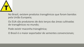 No Brasil, existem produtos transgênicos que foram banidos 
pela União Europeia; 
Os EUA são produtores de dois terços das áreas cultivadas 
de transgênicos no mundo; 
Pode existir maconha transgênica; 
O Brasil é o maior exportador de sementes convencionais; 
 