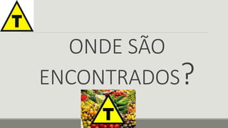 ONDE SÃO 
ENCONTRADOS? 
 