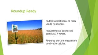 Roundup Ready
Poderoso herbicida. O mais
usado no mundo.
Popularmente conhecido
como MATA-MATO.
Roundup afeta o mecanismo
de divisão celular.
 