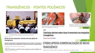 TRANSGÊNICOS – PONTOS POLÊMICOS
 