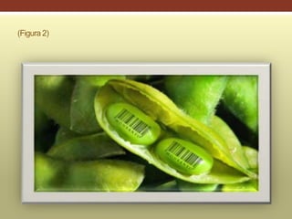 (Figura 2)
 