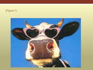 (Figura 7)
 