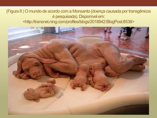 (Figura 8 ) O mundo de acordo com a Monsanto (doença causada por transgênicos
é pesquisada). Disponível em:
<http://transnet.ning.com/profiles/blogs/2018942:BlogPost:8538>
 