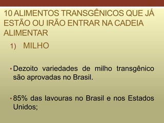 10 ALIMENTOS TRANSGÊNICOS QUE JÁ
ESTÃO OU IRÃO ENTRAR NA CADEIA
ALIMENTAR
1) MILHO
• Dezoito variedades de milho transgênico
são aprovadas no Brasil.
• 85% das lavouras no Brasil e nos Estados
Unidos;
 