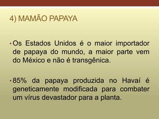 4) MAMÃO PAPAYA
• Os Estados Unidos é o maior importador
de papaya do mundo, a maior parte vem
do México e não é transgênica.
• 85% da papaya produzida no Havaí é
geneticamente modificada para combater
um vírus devastador para a planta.
 