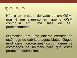 5) QUEIJO
• Não é um produto derivado de um OGM,
mas é um alimento em que o OGM
contribuiu em uma fase de seu
processamento.
• Quimosina- era uma enzima extraída do
estômago de cabritos, agora biotecnólogos
modificam micro-organismos com genes de
estômagos de animais para que estes
produzam quimosina.
 