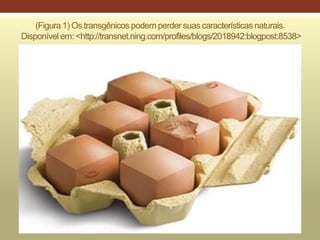 (Figura 1) Os transgênicos podem perder suas características naturais.
Disponível em: <http://transnet.ning.com/profiles/blogs/2018942:blogpost:8538>
 