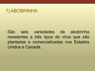 7) ABOBRINHA
• São seis variedades de abobrinha
resistentes a três tipos de vírus que são
plantadas e comercializadas nos Estados
Unidos e Canadá.
 