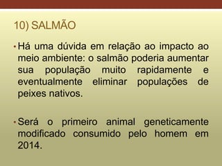 10) SALMÃO
• Há uma dúvida em relação ao impacto ao
meio ambiente: o salmão poderia aumentar
sua população muito rapidamente e
eventualmente eliminar populações de
peixes nativos.
• Será o primeiro animal geneticamente
modificado consumido pelo homem em
2014.
 