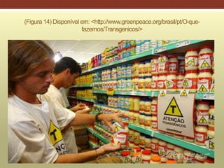 (Figura 14) Disponível em: <http://www.greenpeace.org/brasil/pt/O-que-
fazemos/Transgenicos/>
 