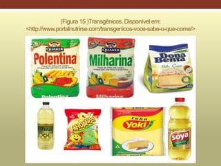 (Figura 15 )Transgênicos. Disponível em:
<http://www.portalnutrirse.com/transgenicos-voce-sabe-o-que-come/>
 
