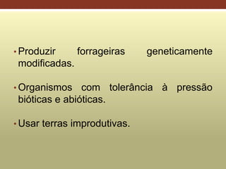 • Produzir forrageiras geneticamente
modificadas.
• Organismos com tolerância à pressão
bióticas e abióticas.
• Usar terras improdutivas.
 