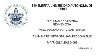 BENEMERITA UNIVERSIDAD AUTONOMA DE
PUEBLA
FACULTAD DE MEDICINA
BIOMEDICINA
TRANSGENICOS EN LA ACTUALIDAD
AILYN MARIA FERNANDA RAMIREZ GONZALEZ
MATRICULA: 201504065
VERANO 2016
 