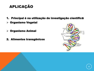 APLICAÇÃO


1. Principal é na utilização de investigação científica
 Organismo Vegetal


 Organismo Animal


2. Alimentos transgênicos




                                                          4
 